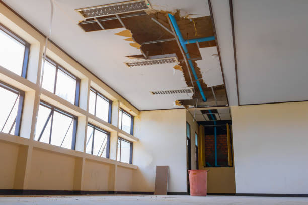 Best Water damage restoration services  in Pennington Gap, VA