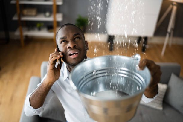 Best Professional water damage repair  in Pennington Gap, VA