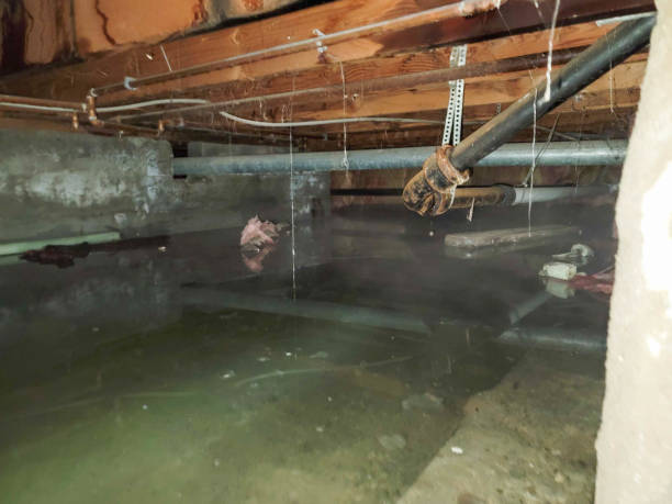 Best Water damage contractors near me  in Pennington Gap, VA