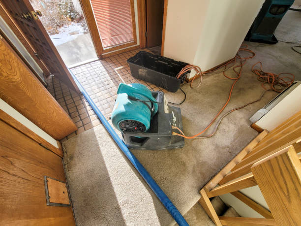 Best Flooded house restoration  in Pennington Gap, VA