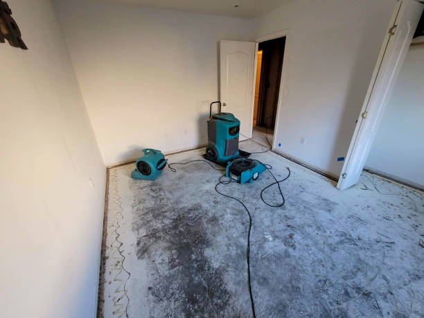 Best Water damage restoration near me  in Pennington Gap, VA