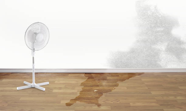 Best Fire Damage Restoration  in Pennington Gap, VA