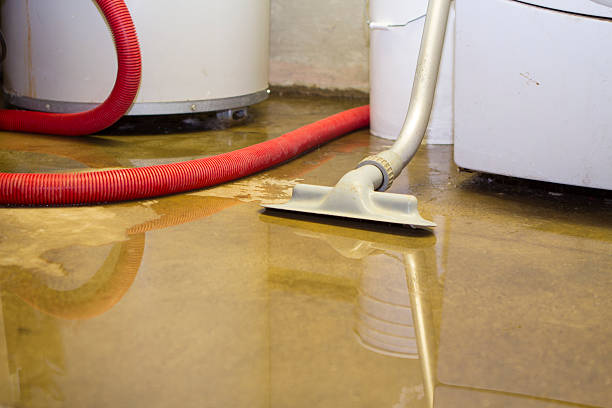 Local water damage restoration in Pennington Gap, VA