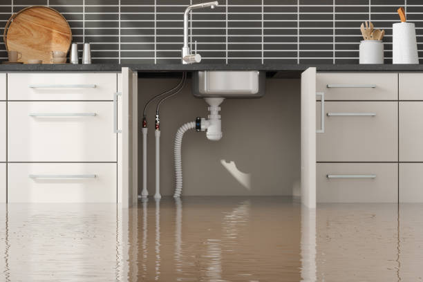 Best Residential water damage restoration  in Pennington Gap, VA