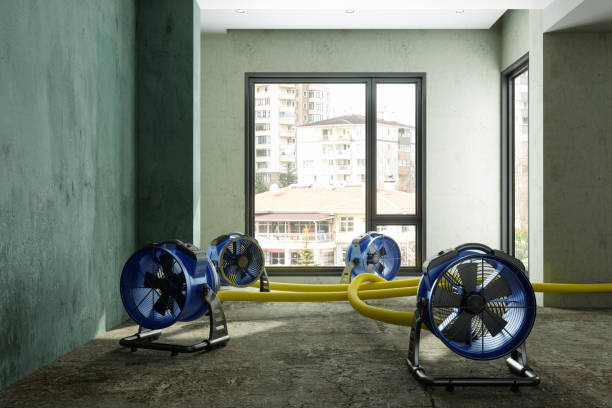 Reliable Pennington Gap, VA Water damage restoration Solutions