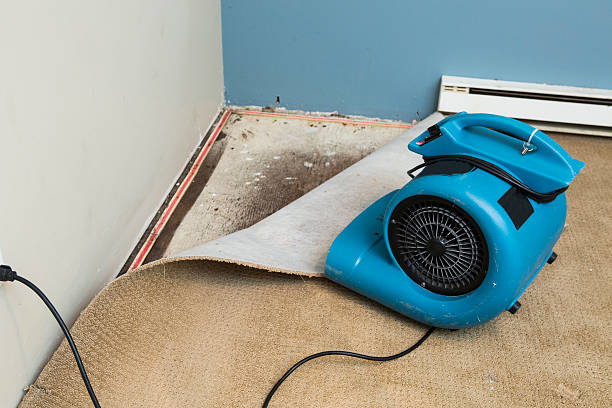 Best Emergency water damage restoration  in Pennington Gap, VA